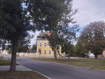 Eigentumswohnung in 2222 Bad Pirawarth (Bild 3)