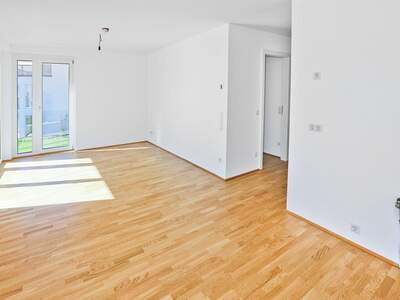 Anlageobjekt kaufen in 3500 Krems (Bild 2)