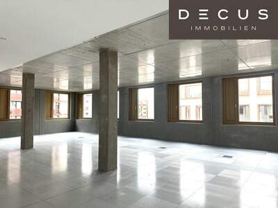 Büro / Praxis mieten in 1230 Wien (Bild 2)