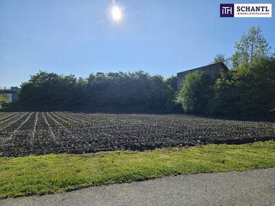 Grundstück kaufen in 8510 Stainz (Bild 1)