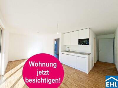 Terrassenwohnung mieten in 1220 Wien (Bild 2)
