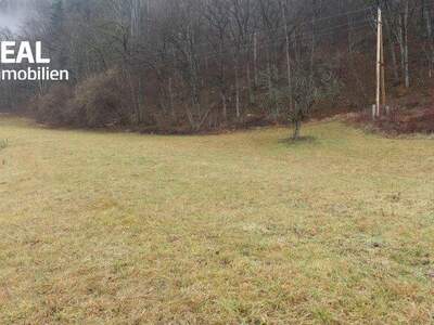 Grundstück kaufen in 8114 Großstübing (Bild 3)