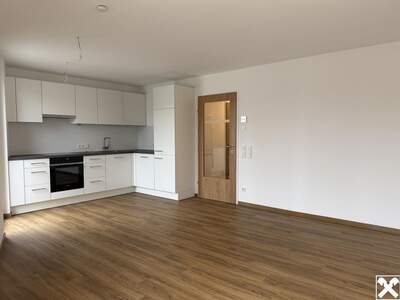 Wohnung mieten in 6900 Bregenz (Bild 1)