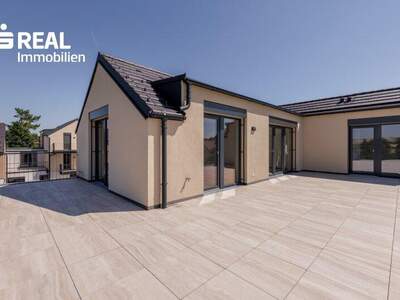 Terrassenwohnung mieten in 2020 Hollabrunn (Bild 3)