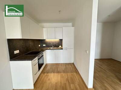 Terrassenwohnung mieten in 1210 Wien (Bild 3)