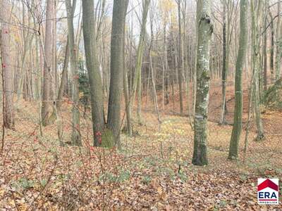 Ferienhaus kaufen in 3032 Eichgraben (Bild 5)