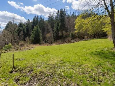 Grundstück kaufen in 8132 Pernegg (Bild 4)