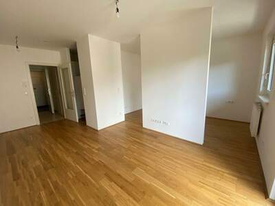 Apartment provisionsfrei mieten in 8020 Steiermark