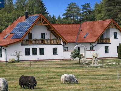 Haus mit Garten kaufen in 3860 Heidenreichstein (Bild 2)