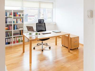 Gewerbeobjekt mieten in 5101 Bergheim (Bild 3)