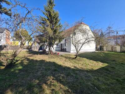 Haus kaufen in 1220 Wien (Bild 4)