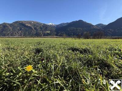 Grundstück kaufen in 9753 Kleblach