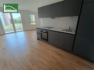 Terrassenwohnung mieten in 3100 St. Pölten (Bild 3)