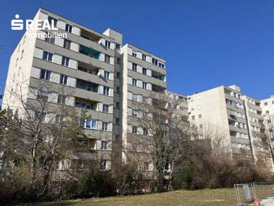 Terrassenwohnung kaufen in 2351 Wr. Neudorf (Bild 1)