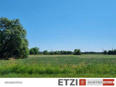 Grundstück kaufen in 4775 Taufkirchen