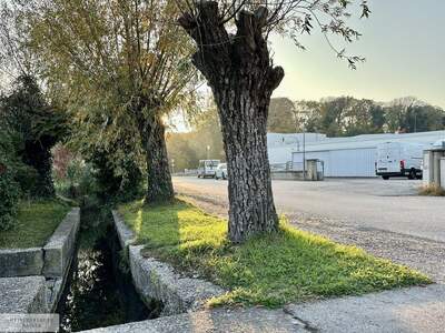 Grundstück kaufen in 2486 Pottendorf (Bild 5)