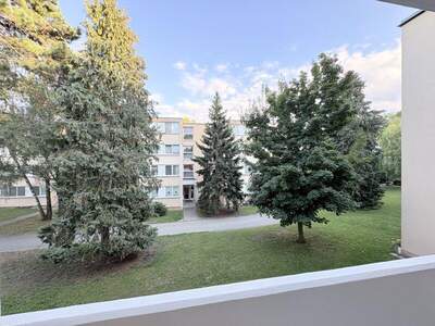 Terrassenwohnung kaufen in 3400 Klosterneuburg (Bild 2)