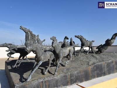 Terrassenwohnung kaufen in 8113 Sankt Bartholomä (Bild 5)