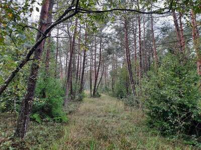 Gewerbeobjekt kaufen in 5121 Tarsdorf