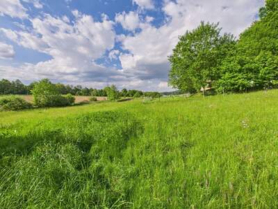 Grundstück kaufen in 8230 Eggendorf (Bild 5)