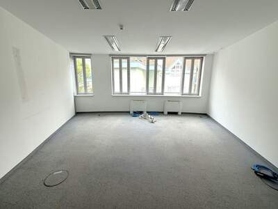 Gewerbeobjekt mieten in 2340 Mödling (Bild 3)