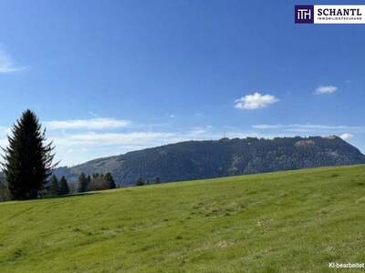 Grundstück kaufen in 8062 Kumberg (Bild 3)