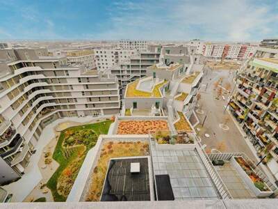 Terrassenwohnung kaufen in 1220 Wien (Bild 2)