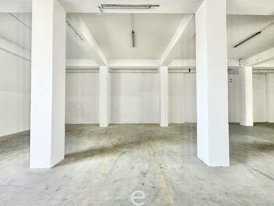 Gewerbeobjekt mieten in 4470 Enns (Bild 4)