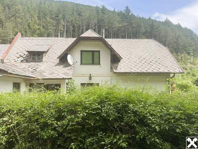 Haus kaufen in 2734 Puchberg (Bild 5)