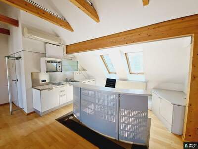 Gewerbeobjekt mieten in 8042 Graz (Bild 2)