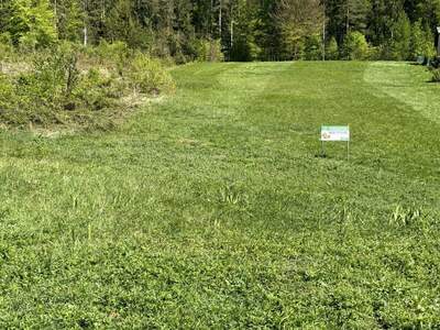 Grundstück kaufen in 9581 Ledenitzen (Bild 1)