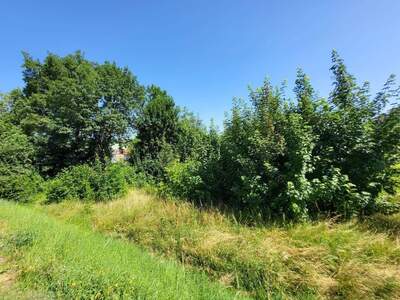 Grundstück kaufen in 4060 Leonding