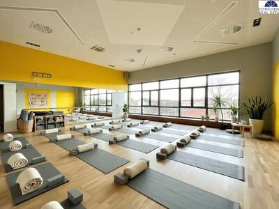 Gewerbeobjekt mieten in 2320 Schwechat (Bild 5)