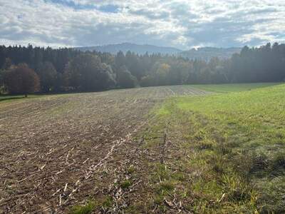 Grundstück kaufen in 4861 Aurach (Bild 2)