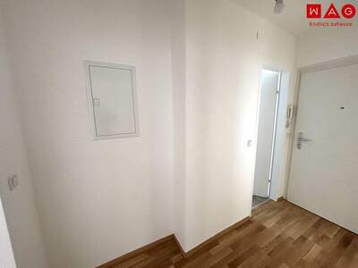 Wohnung mieten in 4400 Steyr (Bild 5)