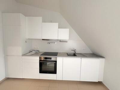 Terrassenwohnung mieten in 1090 Wien (Bild 4)