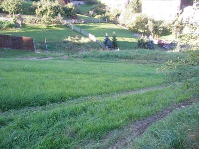 Gewerbeobjekt mieten in 4120 Neufelden