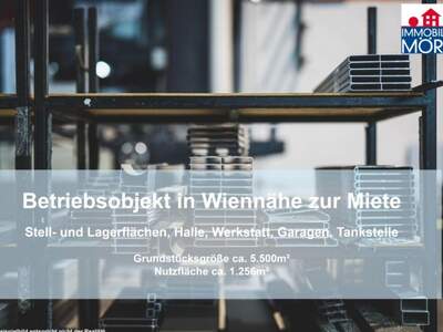 Gewerbeobjekt mieten in 2120 Obersdorf (Bild 1)