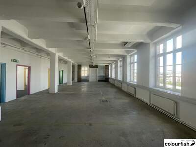 Gewerbeobjekt mieten in 1100 Wien (Bild 3)