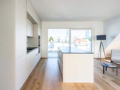 Terrassenwohnung kaufen in 1220 Wien (Bild 3)