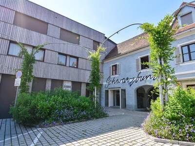 Haus kaufen in 8330 Feldbach