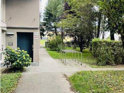 Terrassenwohnung mieten in 4020 Linz (Bild 3)