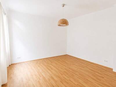 Terrassenwohnung mieten in 1210 Wien (Bild 5)