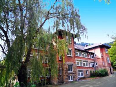 Wohnung mieten in 2733 Grünbach
