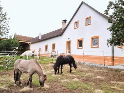 Haus kaufen in 3862 Wielings