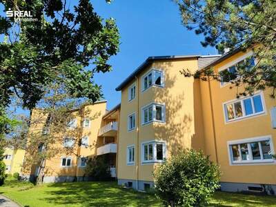 Wohnung kaufen in 5020 Salzburg