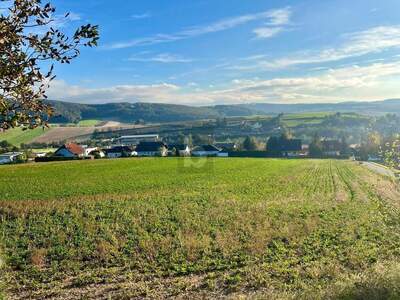 Grundstück kaufen in 3443 Sieghartskirchen (Bild 3)