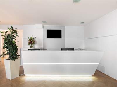 Gewerbeobjekt mieten in 1010 Wien (Bild 2)