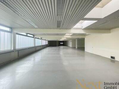 Büro / Praxis mieten in 4061 Pasching (Bild 2)