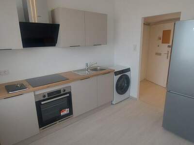 Terrassenwohnung mieten in 1100 Wien (Bild 1)